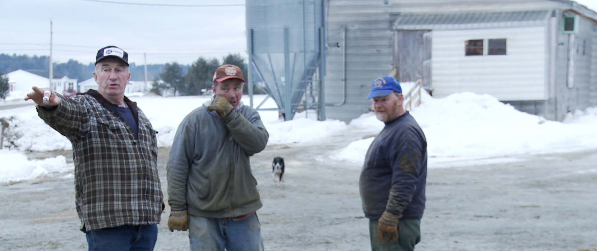 Richard Lary in Betting the Farm